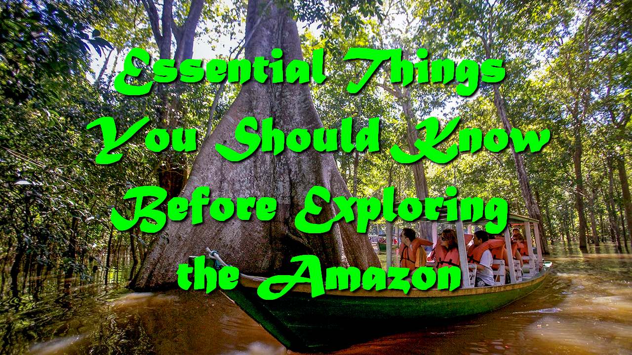 Essential Things You Should Know Before Exploring the Amazon