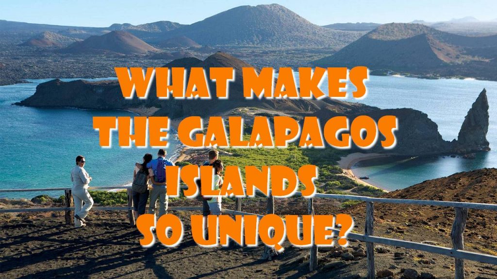 What Makes the Galapagos Islands so Unique?